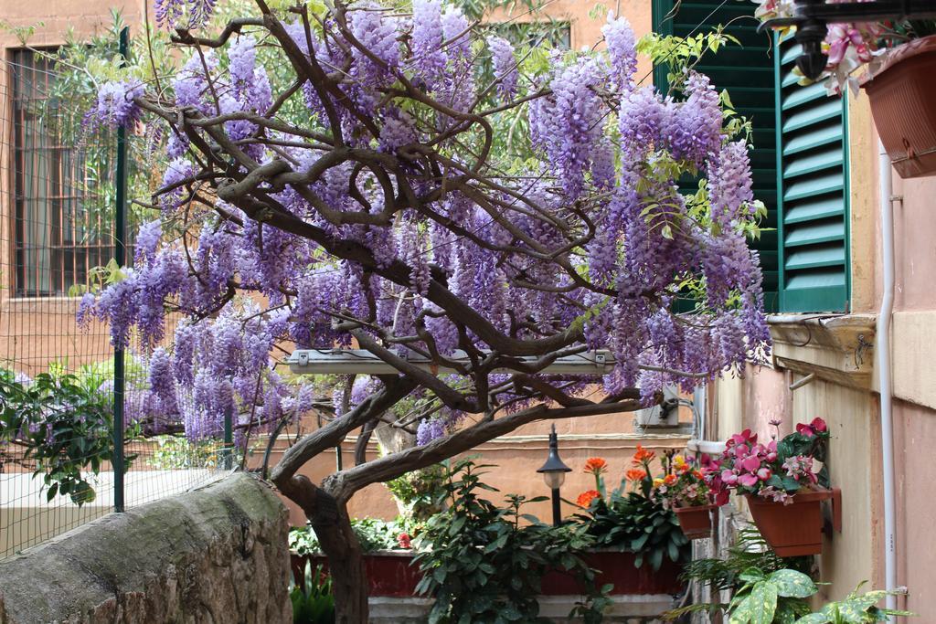 Hotel Pavia Roma Exterior foto